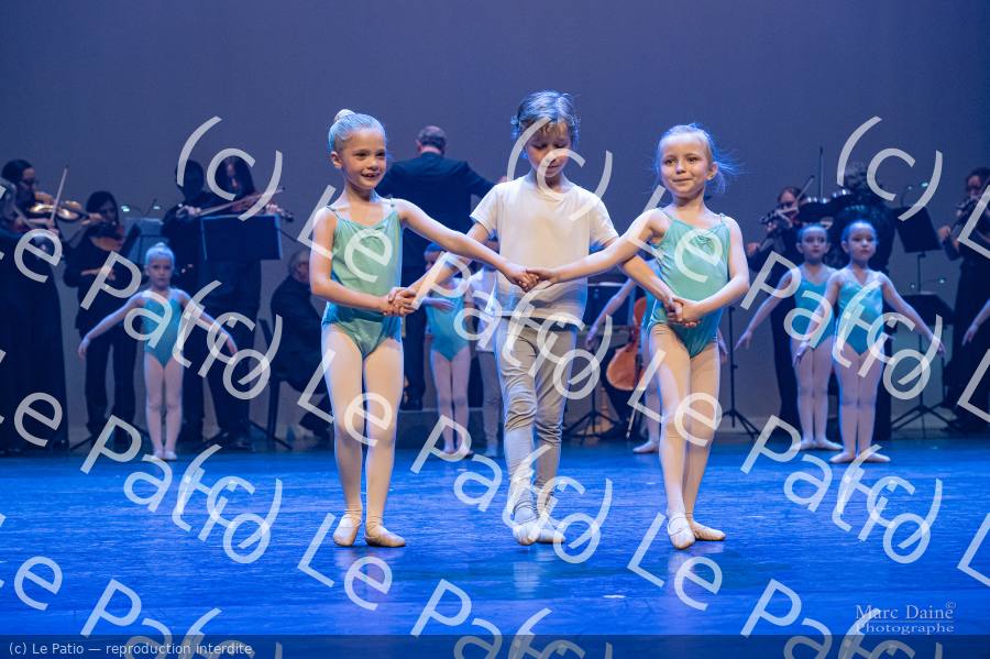 Photo 4196