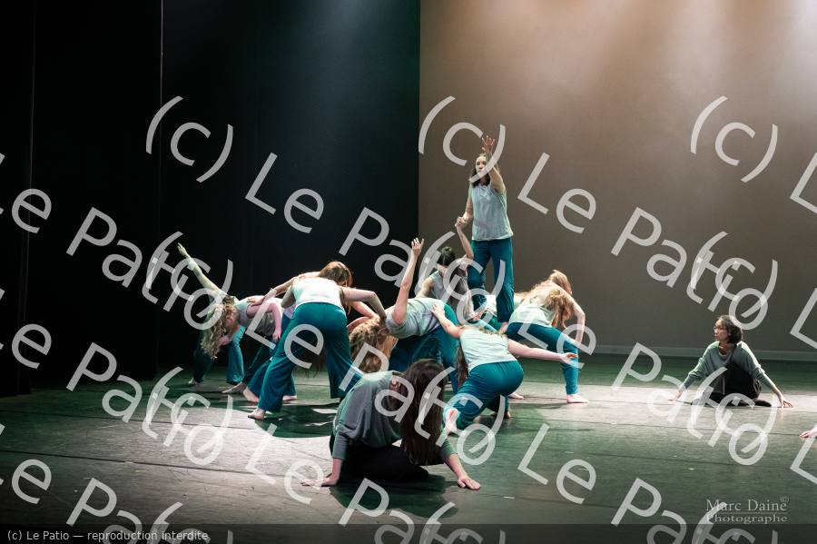 Photo 4252