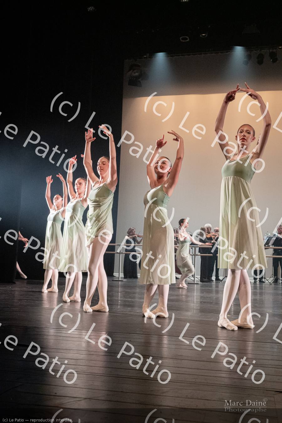 Photo 6011