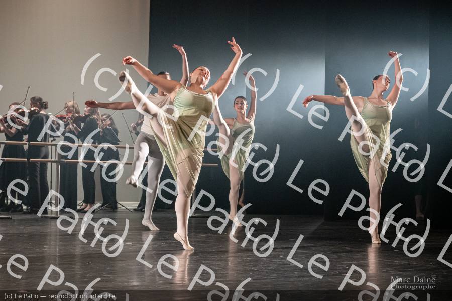 Photo 6017