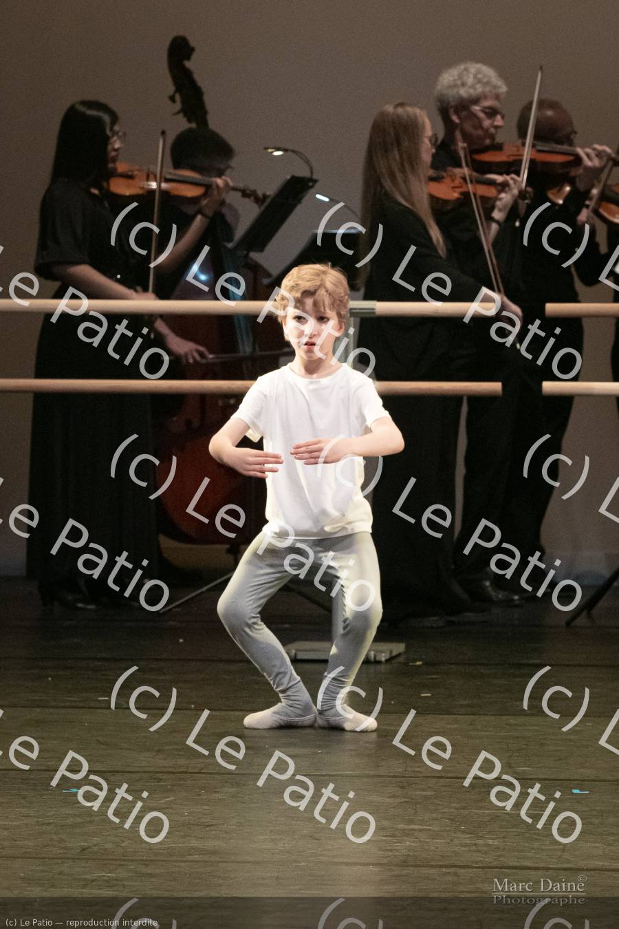 Photo 6077