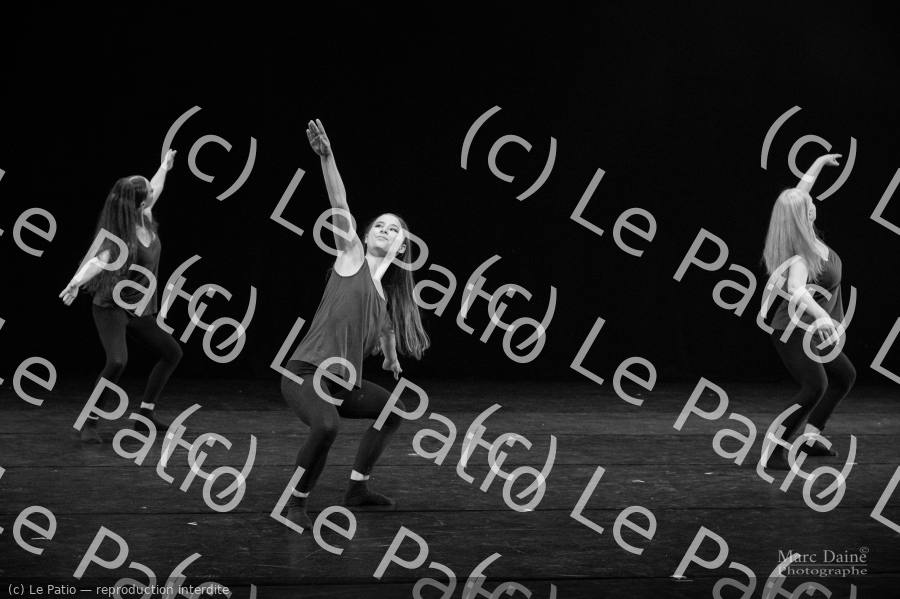 Photo 6189