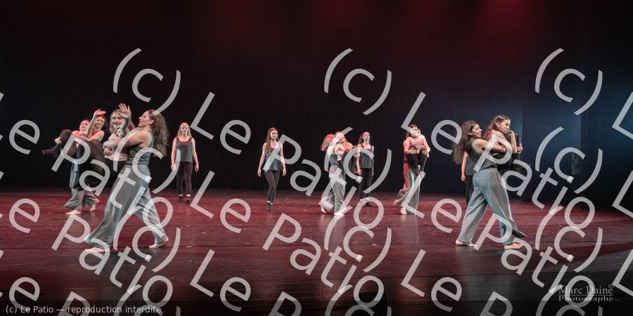 Photo 6203