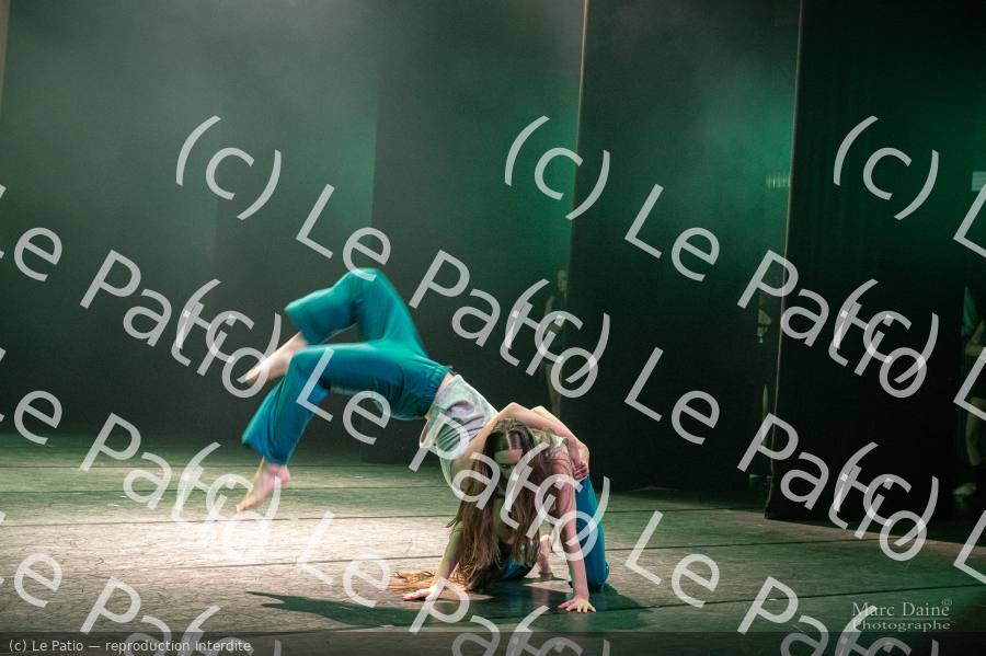 Photo 6225